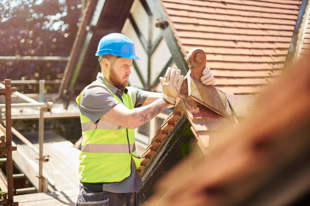 Best Roof Maintenance Services  in Bethesda, OH